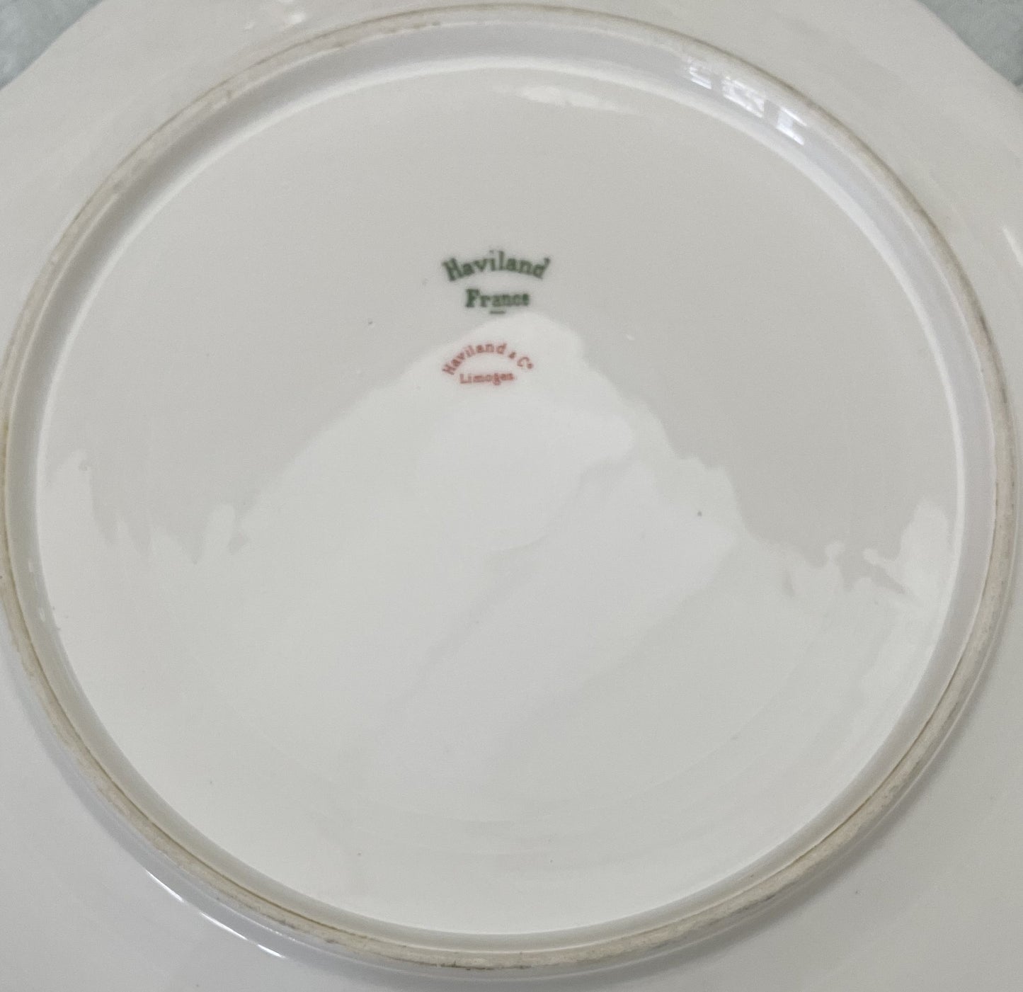 Antique French Limoges 'The Princess' Dinner Service