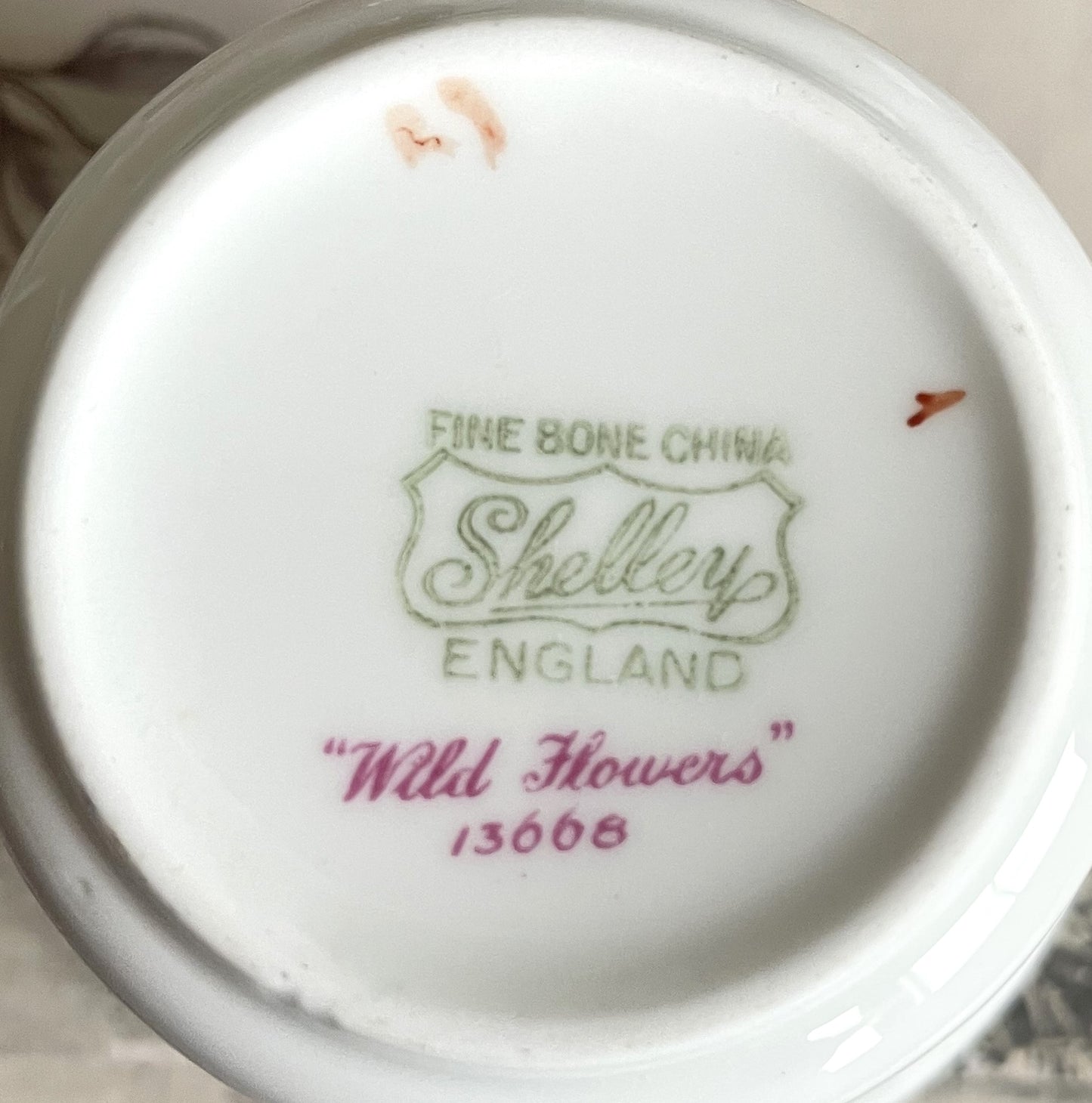 Vintage Shelley Wild Flowers Teacup and Saucer Duo