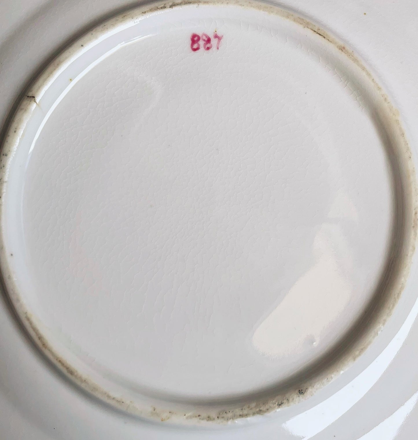 Victorian Hand Painted Plate