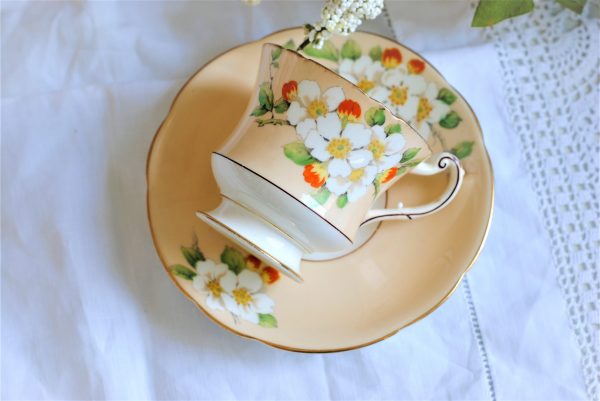 Paragon Star 'Apple Blossom' Demitasse Teacup Duo