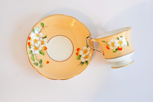 Paragon Star 'Apple Blossom' Demitasse Teacup Duo