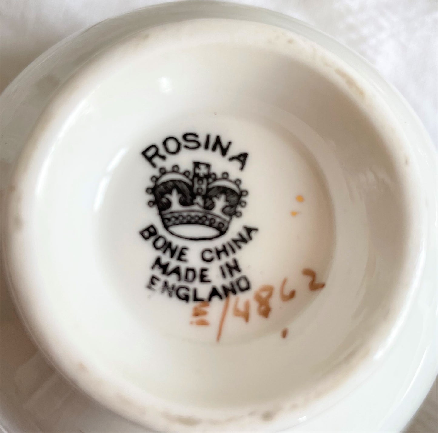 Vintage Winter Rose Teacup and Saucer Duo