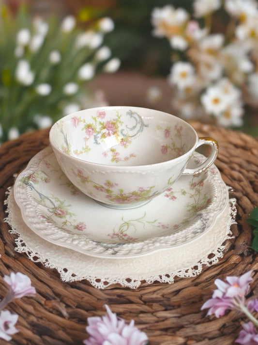 Princess French Antique Teacup and Saucer Duo