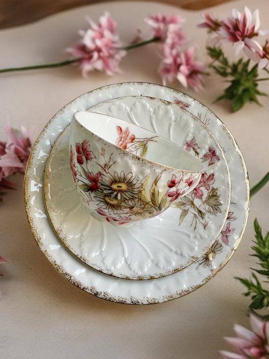 Antique Edwardian Teacup, Saucer and Tea Plate Trio