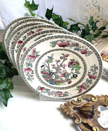 Indian Tree Set of Six Quarter Plates