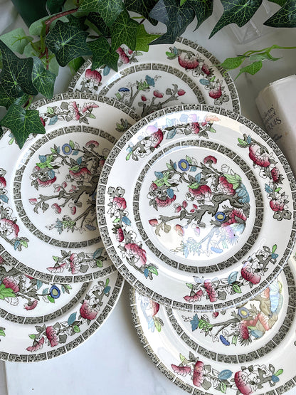 Indian Tree Set of Six Quarter Plates