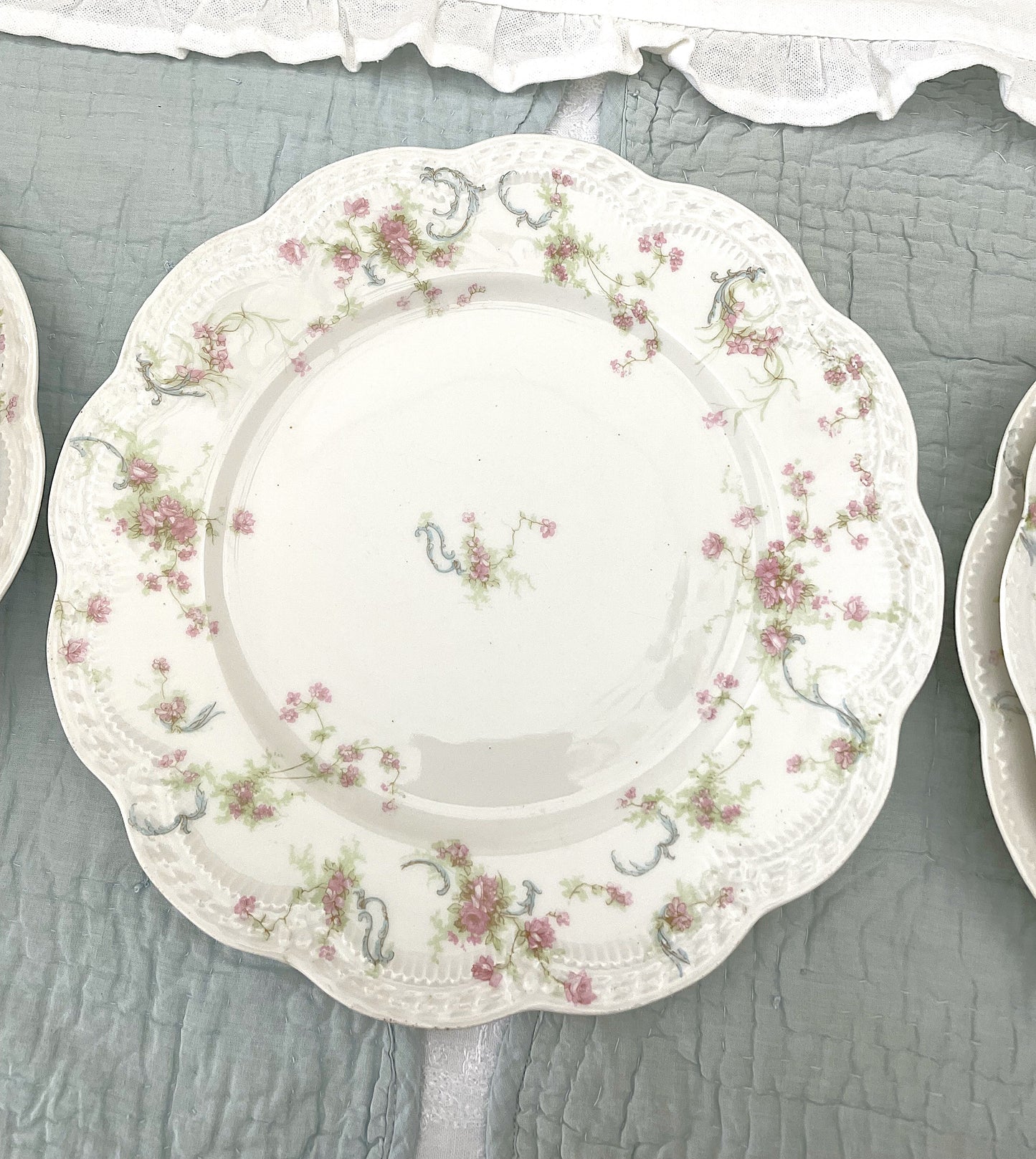 Antique French Limoges 'The Princess'  Dinner Service
