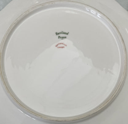Antique French Limoges 'The Princess'  Dinner Service