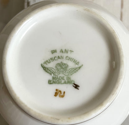 Pretty Vintage Hand Painted Tuscan China Teacup and Saucer Duo