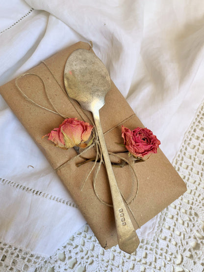 Art Deco Preserve Spoon